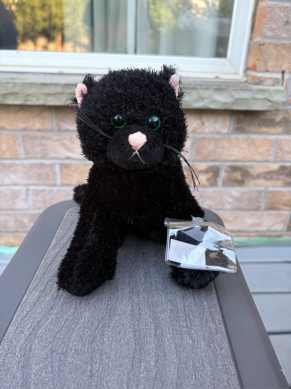 GANZ Webkinz Black cat Green Eye Stuffed Plush PRISTINE Condition, Code missing!
